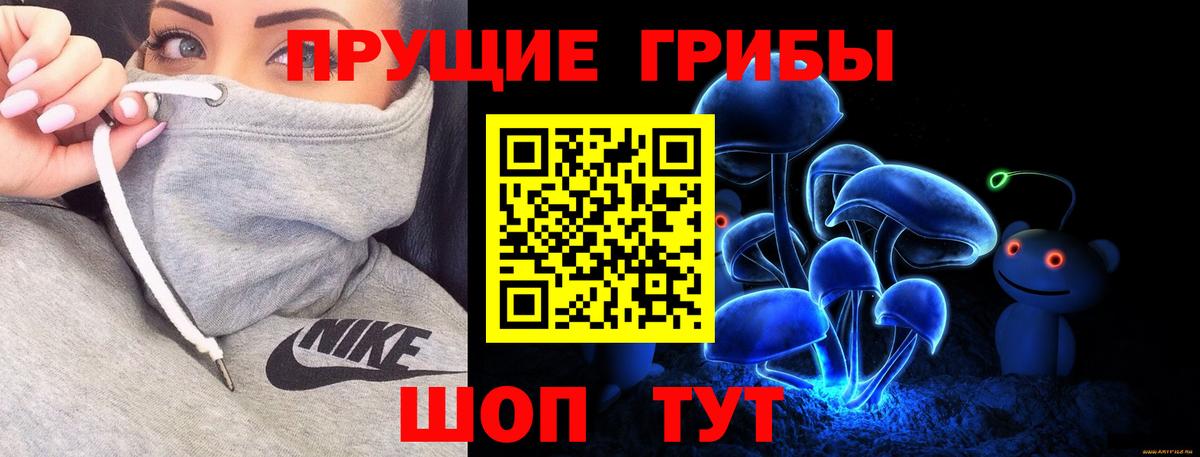 Кириши  купить  сайты  Вход с VPN  Псилоцибиновые грибы MAGIC MUSHROOMS 